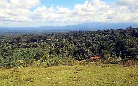 Upala