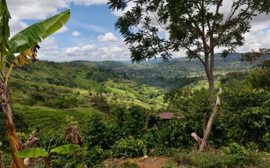 Panoramic Mountain View Land for Sale in Platanares, Pérez Zeledón | 7,392 m²