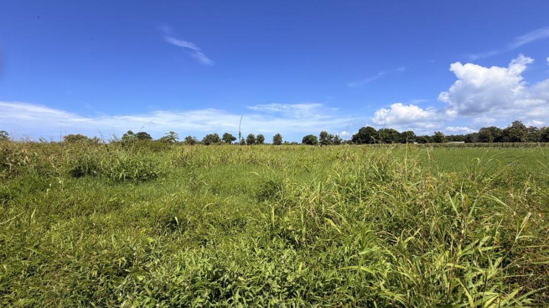 Ready-to-Build Lot Near Playa Bandera with Public Road Access - Lot 483