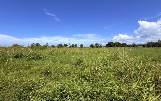 Flat, Ready-to-Build Lot Near Playa Bandera with Public Road Access – lot 481
