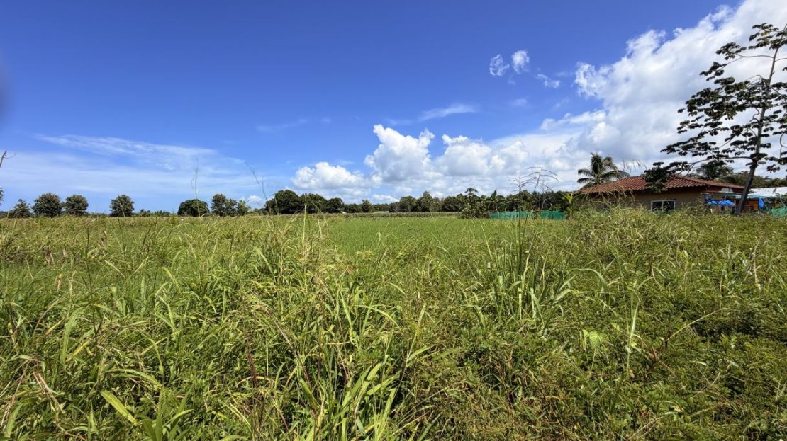 Ready-to-Build Lot Near Playa Bandera with Public Road Access - lot 481