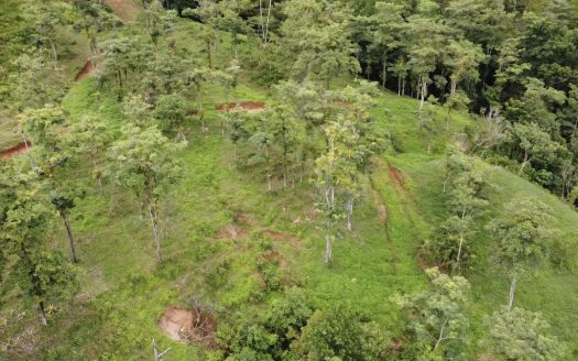One Hectare in Las Vegas de Costa Rica