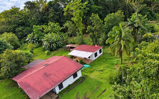 Property with 2 Houses for Sale in Suerres, Pococí
