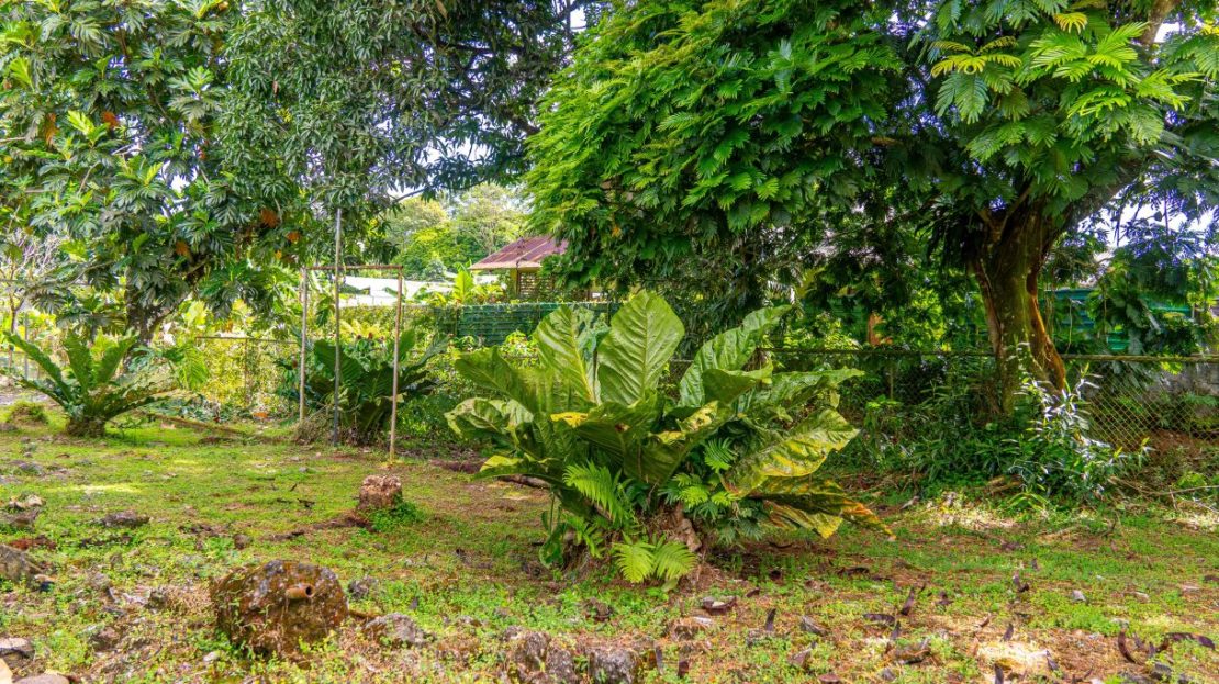 Casa en Venta en Guápiles | Amplio Terreno de 610 m² a Solo 1.5 km del Centro