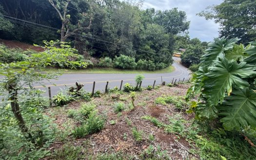 Lot for Sale in Orotina | 1,370 m² | Prime Location