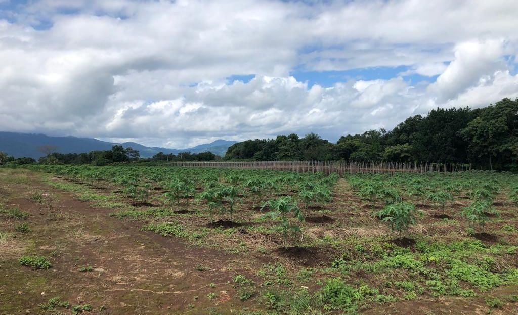 Amplio Terreno en Orotina