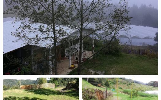 Property for Sale in Dota, San José – Nature, Peace & Privacy