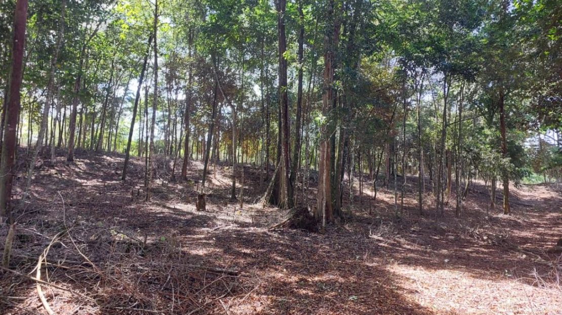 Costa Rica Real Estate