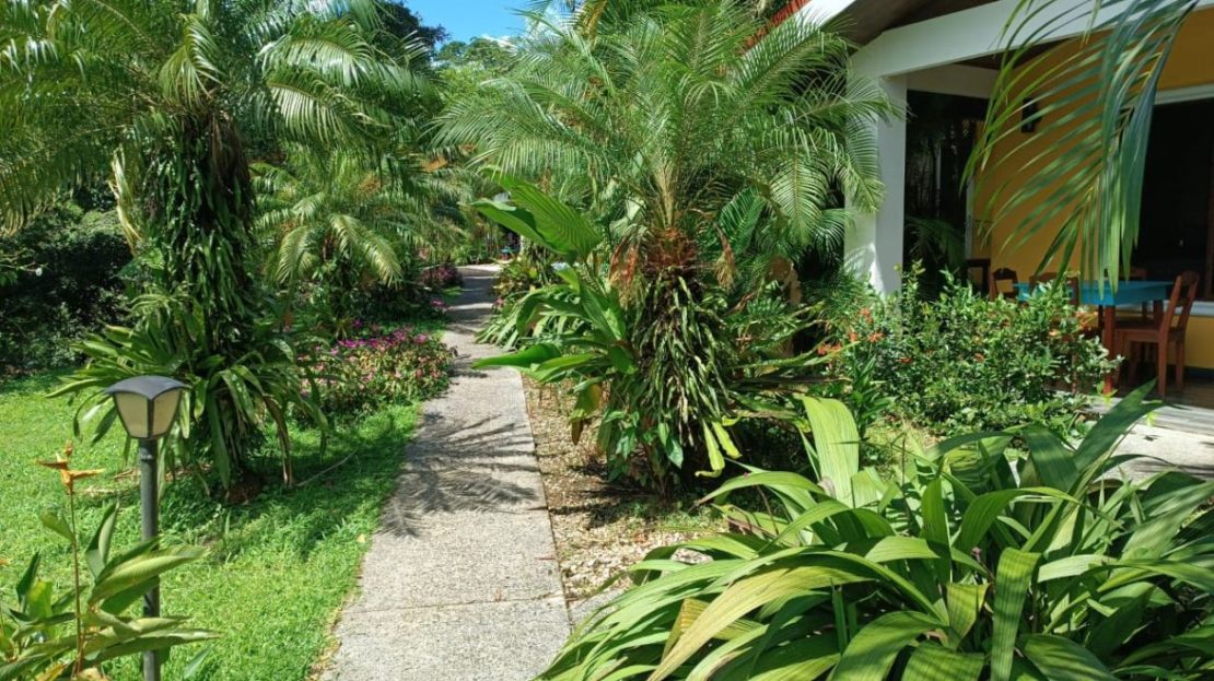 Costa Rica Real Estate