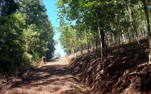 Land for Sale in Montelimar, Pérez Zeledón: 1 Ha Lot with Nature & Strategic Location Minutes from San Isidro