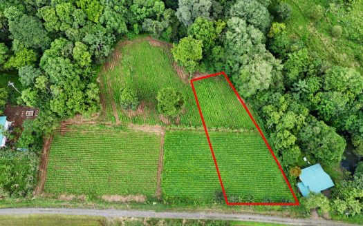 Strategic 5000m2 Lot and High-Yield Opportunity 5 minutes from La Fortuna
