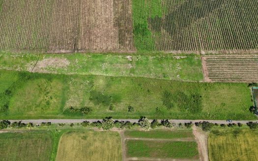 Flat, Ready-to-Build Lot Near Playa Bandera with Public Road Access – lot 480