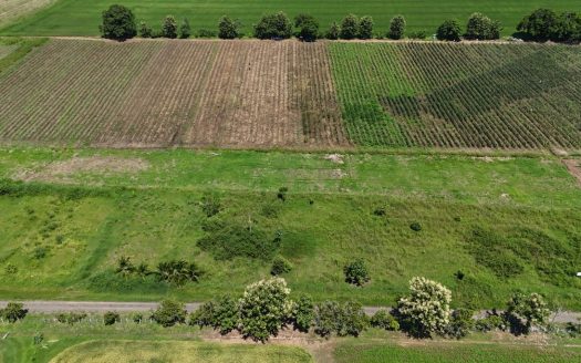 Flat, Ready-to-Build Lot Near Playa Bandera with Public Road Access – lot 479