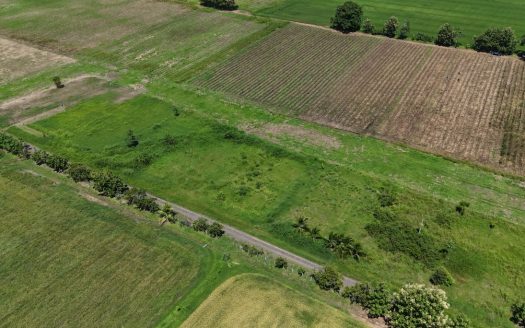 Flat, Ready-to-Build Lot Near Playa Bandera with Public Road Access – Lot 483