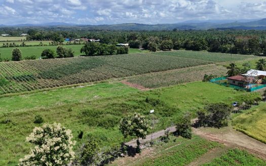 Build Your Costa Rica Dream Just 5 Minutes from Playa Bandera – Lot 478