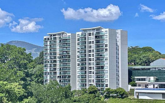 Condo Apartment Paradisus 12 | Elevated Living | Airbnb Opportunity