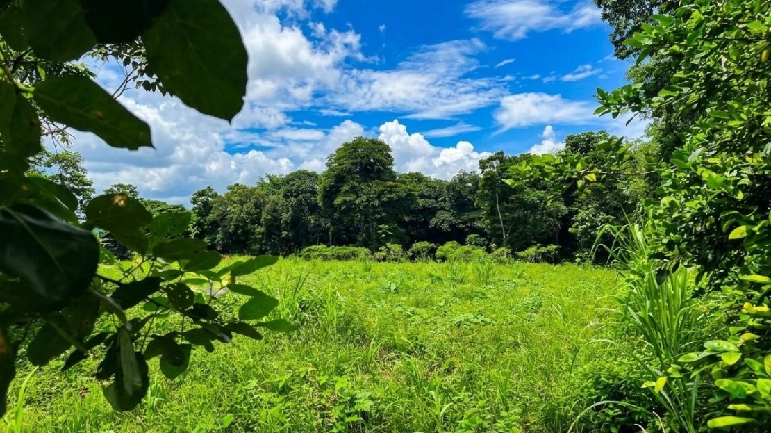 Strategic 5000m2 Lot and High-Yield Opportunity 5 minutes from La Fortuna